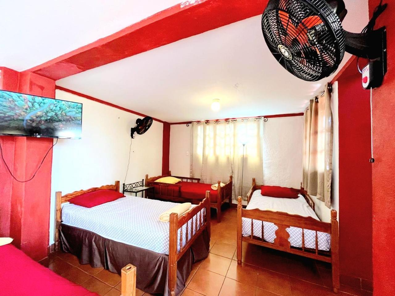 Hostal Lolita'S Boutique Granada Buitenkant foto